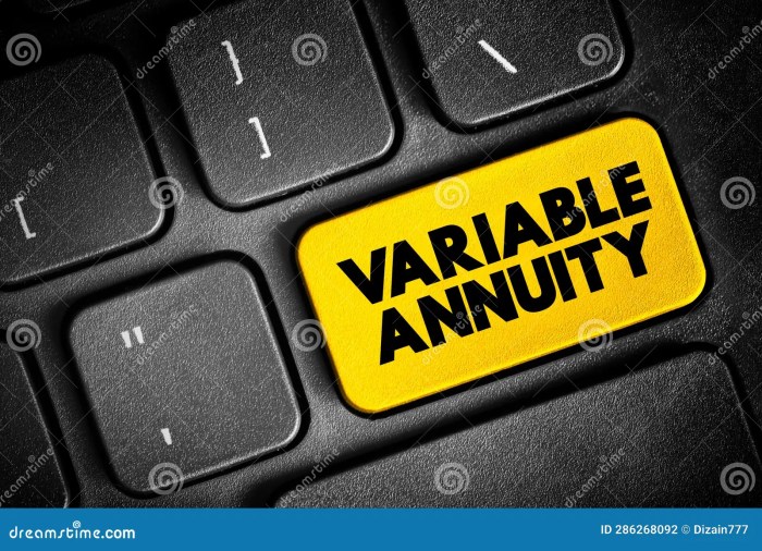A Variable Annuity Is A Quizlet 2024