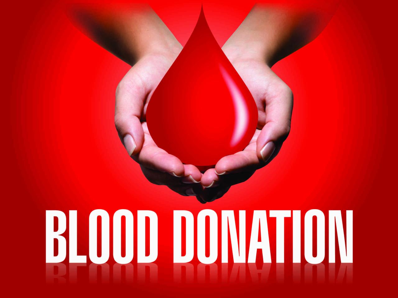 Blood Donation Website 2024